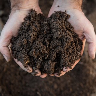 Hands holding soil in agricultural field