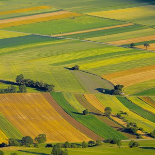 Aerial view of agricultural fields